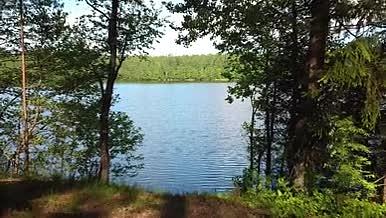 唯美湛蓝湖泊绿色树木视频的预览图